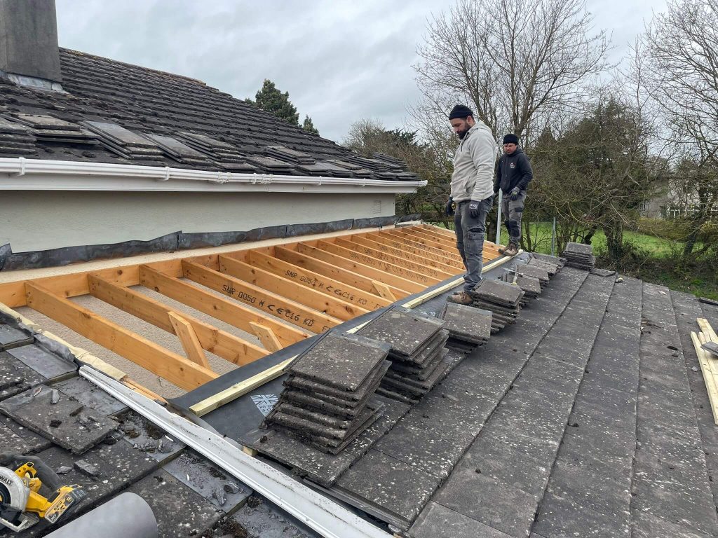 fixing a roof leak in Meath